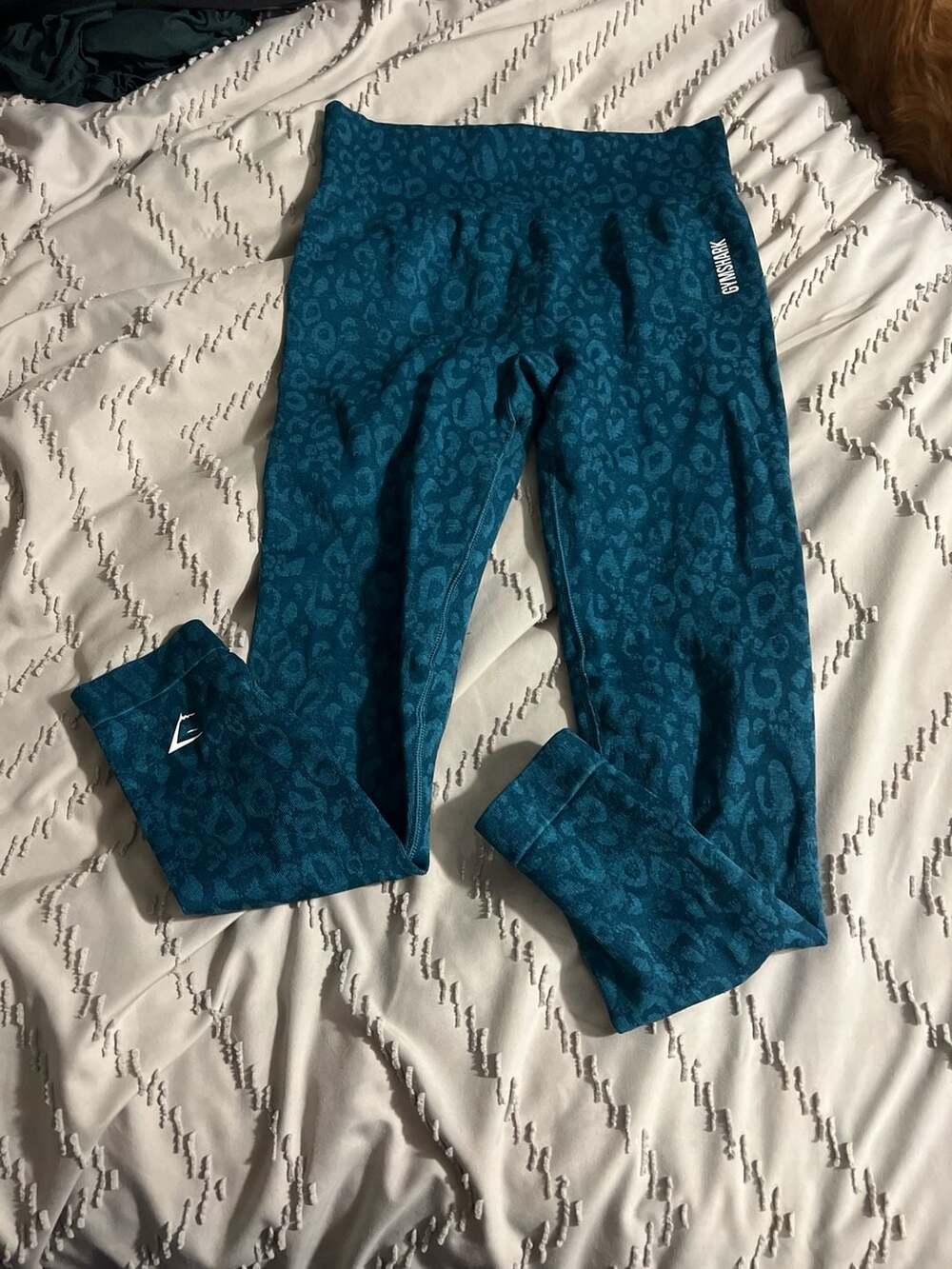 Gymshark Adapt Animal Seamless Leggings Teal Blue Leopard Print